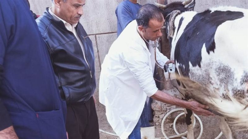 محافظ أسيوط: قافلة