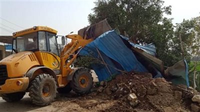 إزالة 117  حالة تعد 