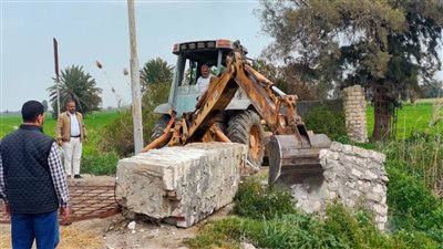 إزالة 92 حالة تعدٍ على الأراضى الزراعية وأملاك الدولة بالبحيرة 