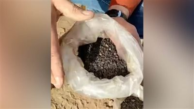 مصطفى وزيري: كشف أثري جديد يشمل منازل