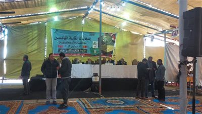 مهندسو الإسكندرية يختارون النقيب العام في انتخابات المرحلة الثالثة 