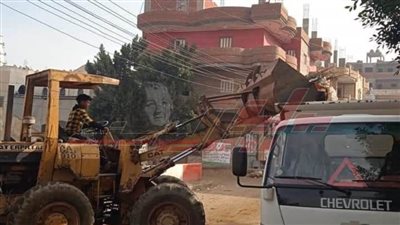 رفع مستوى النظافة والتجميل بمدينة دسوق في كفر الشيخ