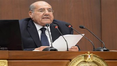 رئيس مجلس الشيوخ يرفع الجلسة العامة للغد