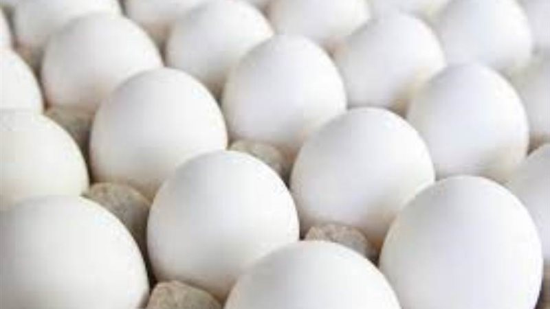 البيض الأبيض
