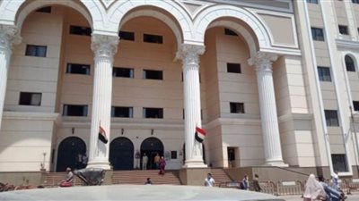 الحبس المشدد 6 سنوات وغرامة 100 ألف جنيه لتاجر الهيروين بطوخ