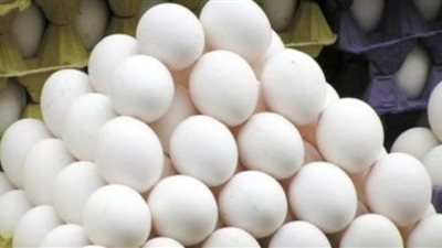 سعر طبق البيض الأبيض اليوم الاثنين