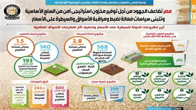 بالإنفوجراف .. مصر تضاعف الجهود من أجل توفير مخزون استراتيجي آمن من السلع الأساسية  