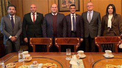 وفد تنسيقية شباب الأحزاب والسياسيين يلتقي السفير الروسي لدى القاهرة
