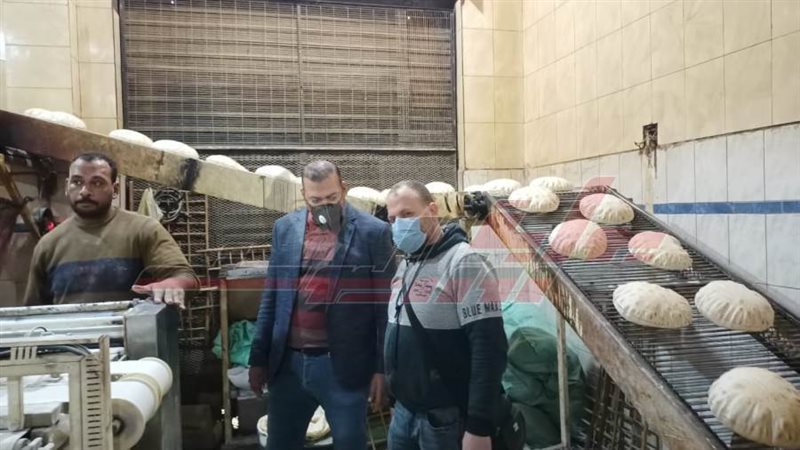 الحملات الرقابية