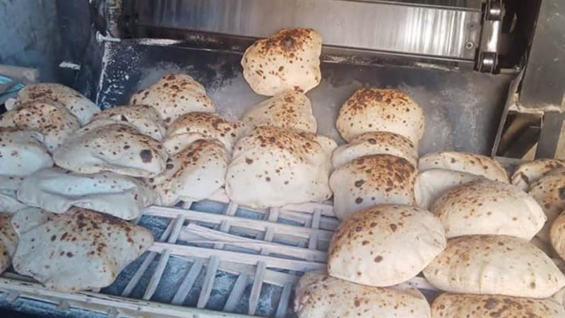 حملات تموينية متنوعة