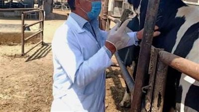  العالمية للصحة الحيوانية تعتمد منشأتين للألبان كمنشآت خالية من مرضي الدرن والبروسيلا بالشرقية 