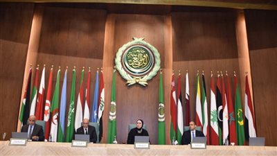 نيفين جامع: الدولة المصرية وقيادتها تؤمن بأهمية تحقيق التكامل الاقتصادي