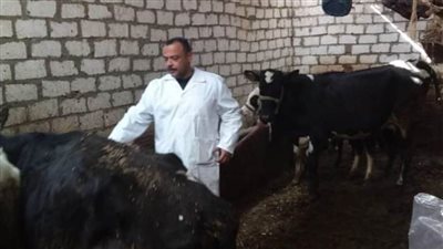 انطلاق الحملة القومية للتحصين ضد مرضى الحمي القلاعية بالبحيرة