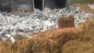 حملة لإزالة التعديات على الأراضي الزراعية بمدينة الحامول