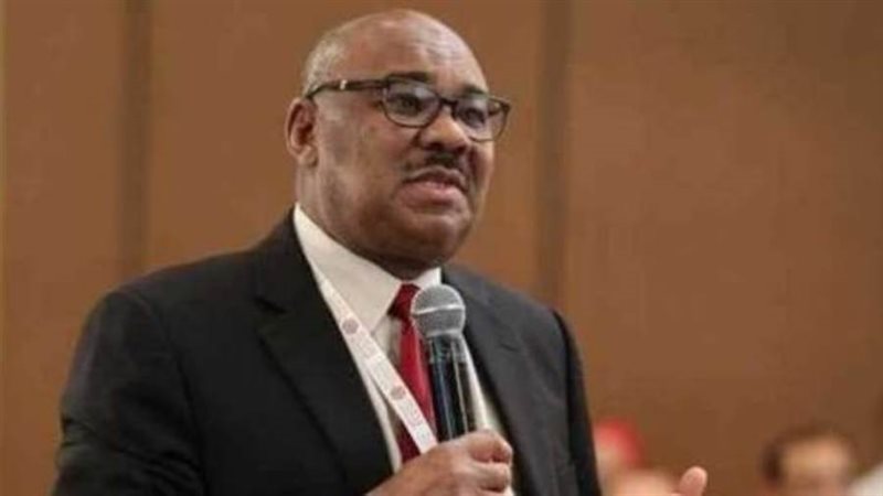 الدكتور إبراهيم البدوي