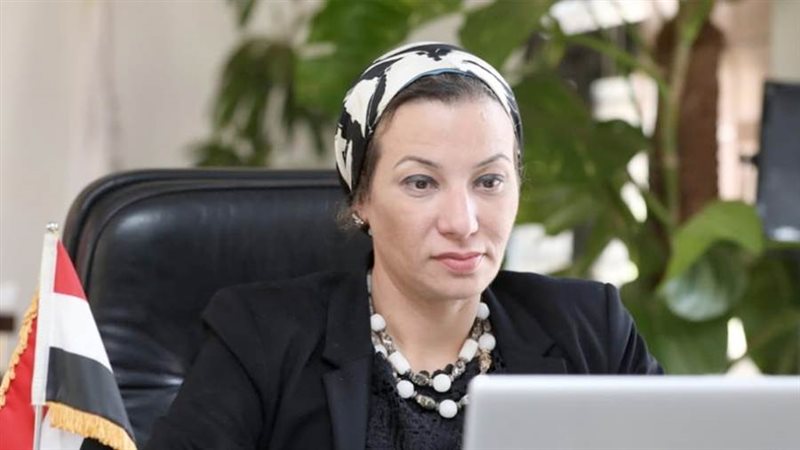 الدكتورة ياسمين فؤاد