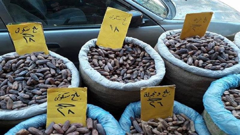 البلح _ الارشيف