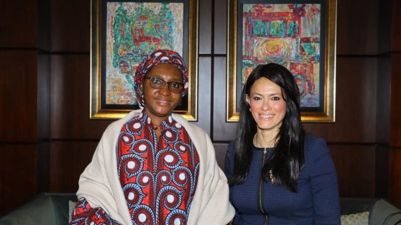 المشاط مع وزيرة المالية