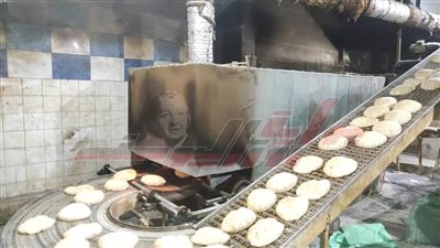 تحرير 361 محضراً للمخالفين من التجار وحملات مستمرة بكفر الشيخ