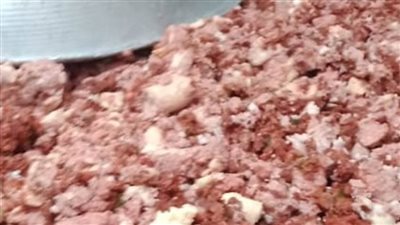 الجيزة: ضبط مصنع تصنيع مشتقات اللحوم وبحوزته ١٥ طنًا لحوم فاسدة