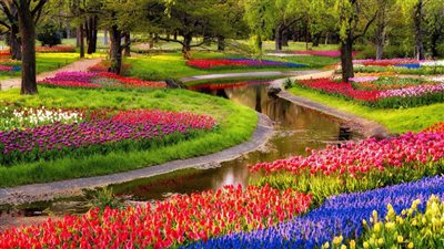 الأحد.. بدء فصل الربيع في نصف الكرة الشمالي وشم النسيم 25 أبريل 