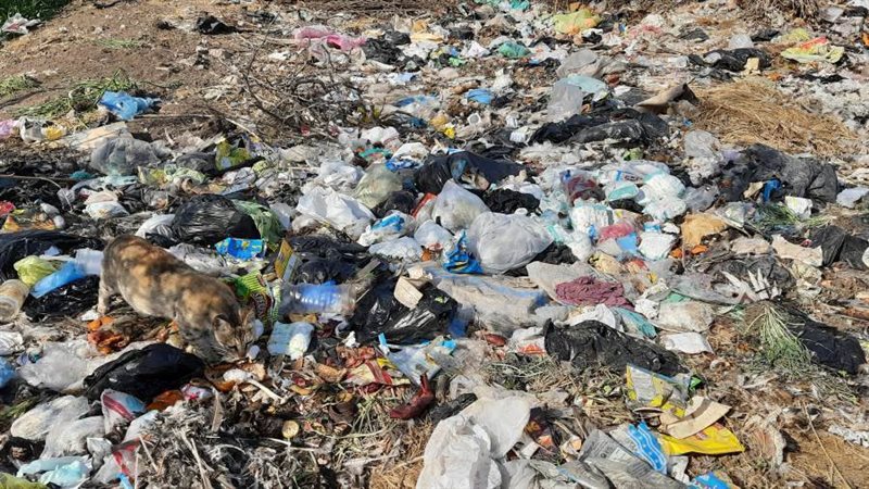 أكوام القمامة