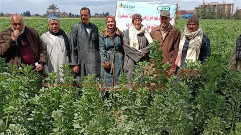 مزارعي كفرالشيخ