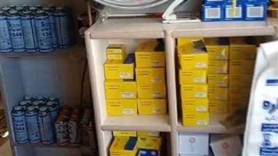 تنفيذ 17 ألفا و257 مشروعا للشباب ضمن مبادرة مشروعك بالشرقية 