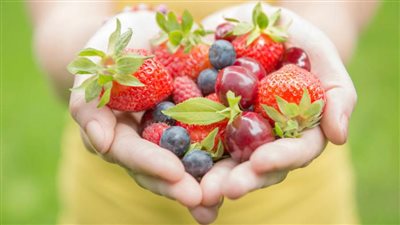 هل هناك علاقة بين نسب خصوبة الزوجة وطبيعة نظامها الغذائي؟