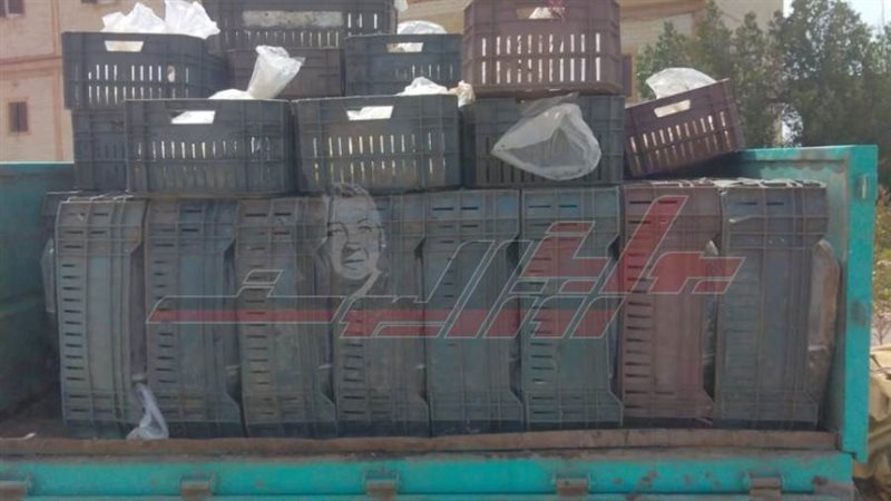 الزريعة المضبوطة