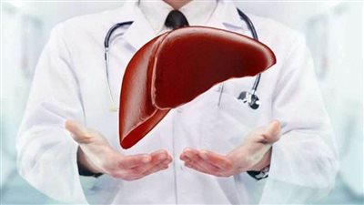 ماهي وظائف الكبد وكيف تحمية وكيف نحد من أمراضه بالغذاء؟.. إليك الإجابه