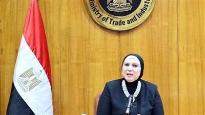 نيفين جامع: اهتمام كبير من القيادة السياسية والحكومة للاستفادة من الخبرات والتكنولوجيا الألمانية  