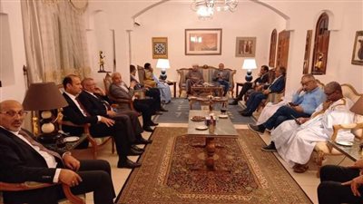 السفير المصري فى موريتانيا يستقبل وفد اتحاد الصحفيين العرب 