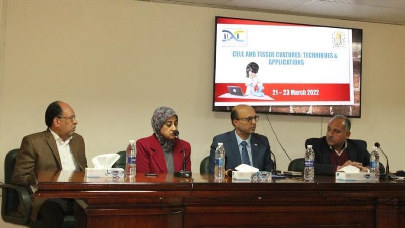 جامعة أسيوط انعقاد