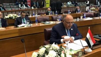 شكري: لا حل للقضية الفلسطينية دون إنشاء دولة فلسطينية مستقلة 