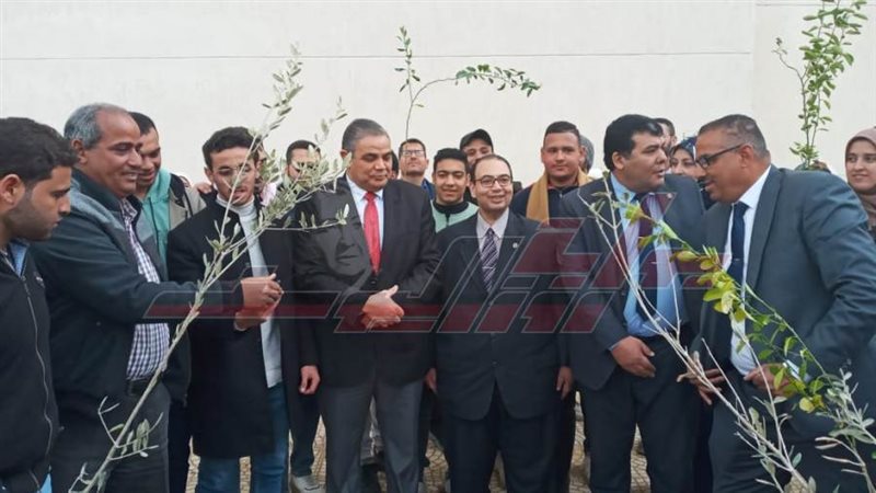 زراعة الأشجار