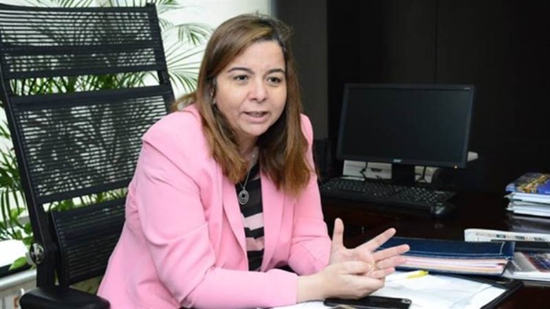 المهندسة مى عبد الحميد