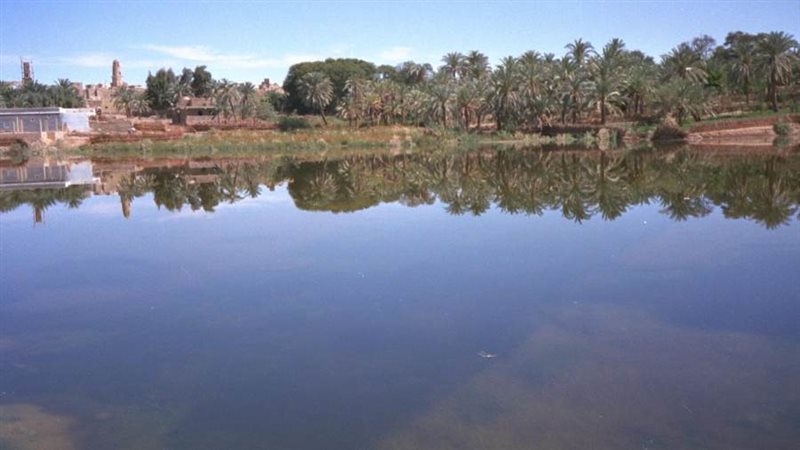 الواحات الداخلة