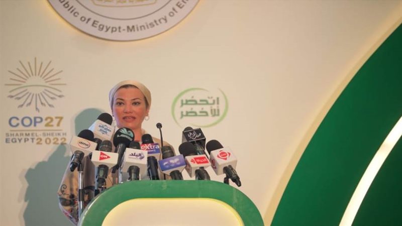 د. ياسمين فؤاد وزيرة