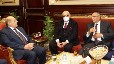 رئيس مجلس الشيوخ يلتقي رئيس حزب الوفد