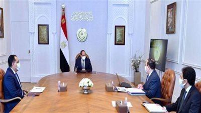 السيسي يوجه بمواصلة الجهود لتحقيق الاستفادة الاقتصادية المثلى لموارد مصر من البترول والغاز الطبيعي