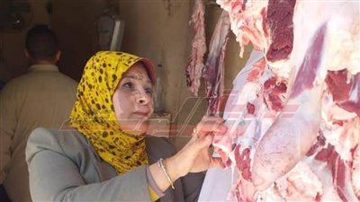 حملة مكبرة للتفتيش على الأسواق ومحلات الجزارة بكفر الشيخ