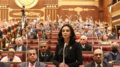 مايا مرسي تتوجه بالشكر للرئيس عبدالفتاح السيسي الداعم الأول للمرأة المصرية