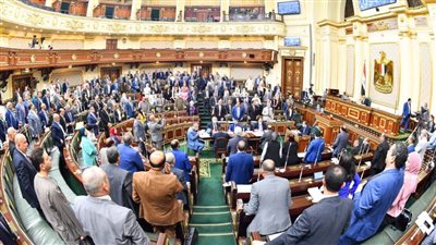 مجلس النواب يوافق نهائيا على تعديل قانون مكافحة الهجرة غير الشرعية