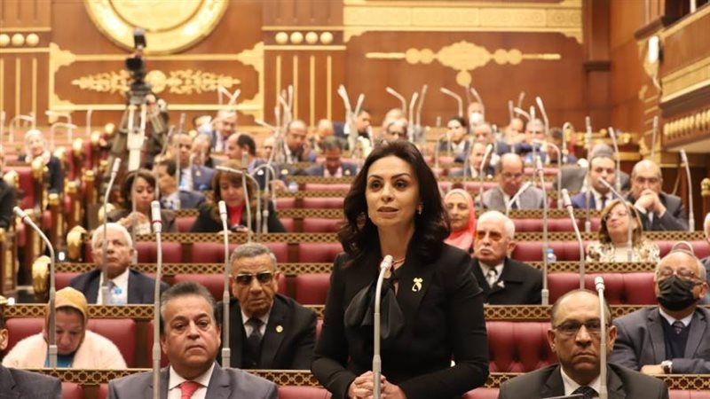 مايا مرسي خلال جلسة