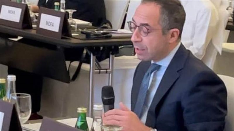 السفير عمرو الشربيني