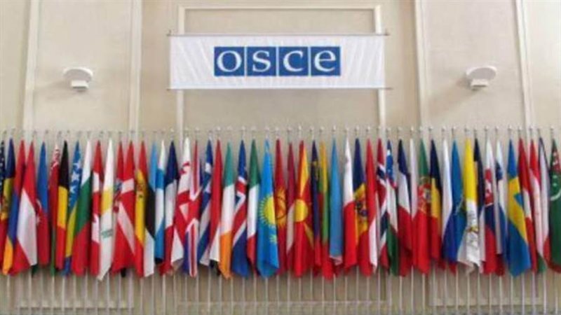 منظمة الأمن والتعاون