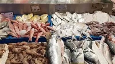 أسعار الأسماك اليوم السبت 2 ابريل 2022 بالعبور