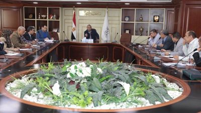 سكرتير عام بني سويف يبحث مبادرة الدليل الإرشادي لحوافز تميز الأداء