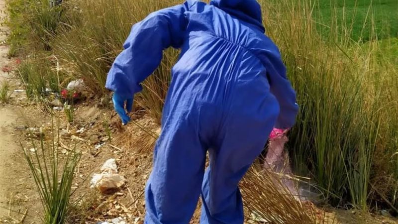 مكافحة ناقلات الامراض